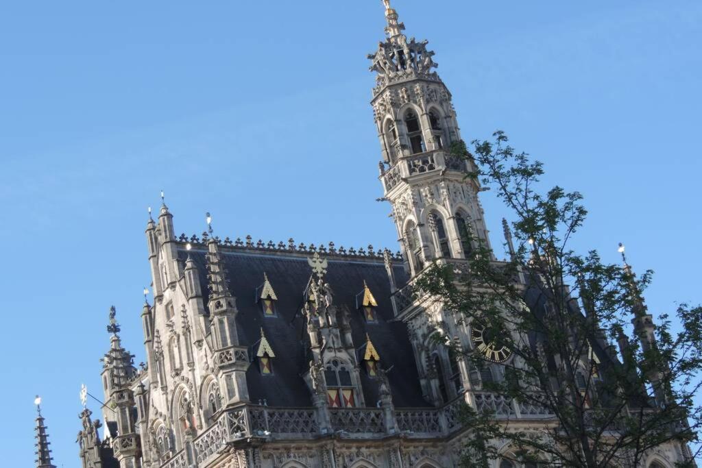 Vakantiewoning Zoetebeek Oudenaarde Bagian luar foto